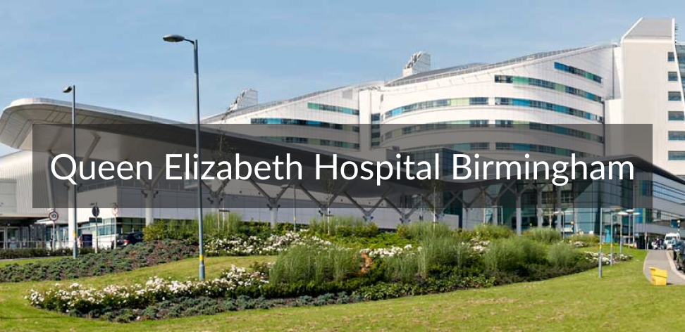 Queen Elizabeth Hospital Banner